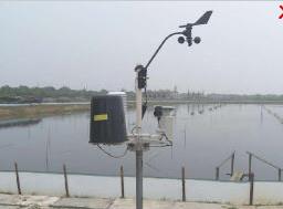 水产养殖控制系统 DX-SC型 含水质监测传感器 农业物联网系统