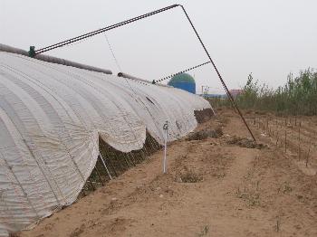 北京四营乡农业示范园区-农业物联网温室灌溉水肥系统