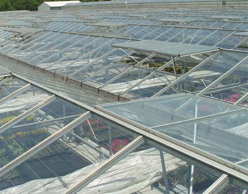 现场视频 河北省农科院 超温自动开天窗过程 智能温室控制